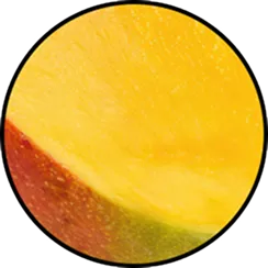 Neutrogena® Healthy Glow Blush Stick, Petal Pink product image 11